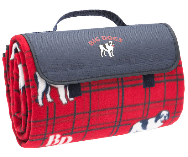 Plaid Picnic Blanket