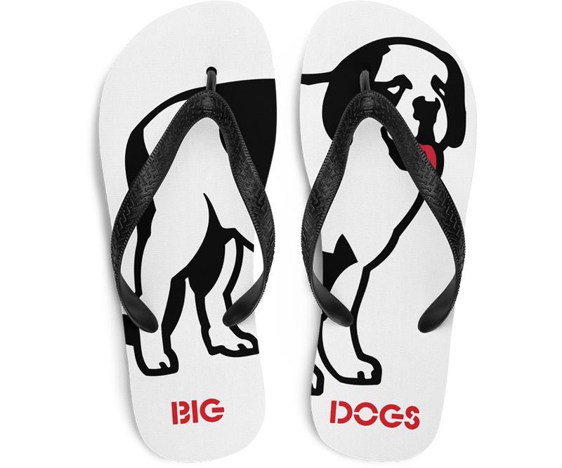 The Big Dog Flip