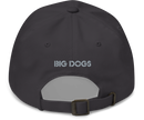 Circle Logo Low Profile Cap