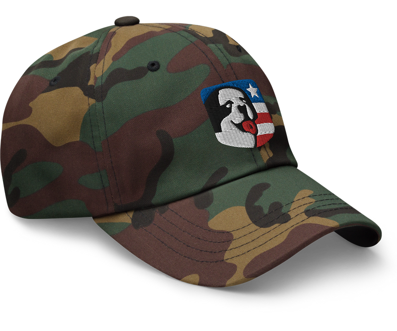 Big Dog USA Camo Low Profile Cap
