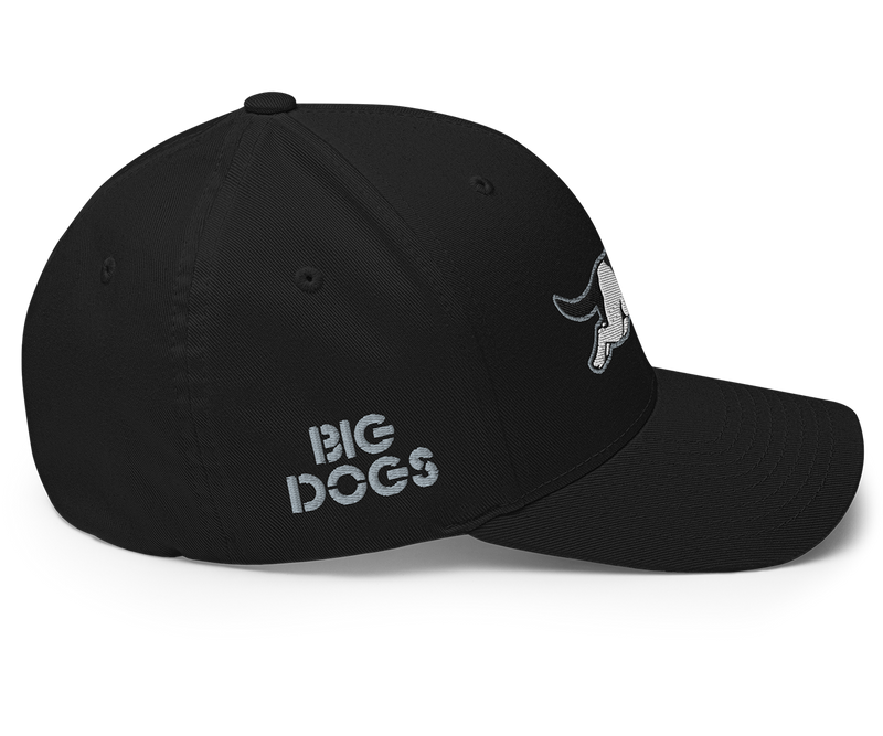 Running Dog Structured Twill Cap