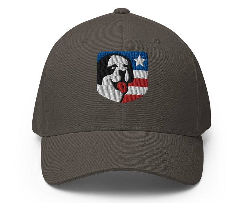 USA Structured Twill Cap