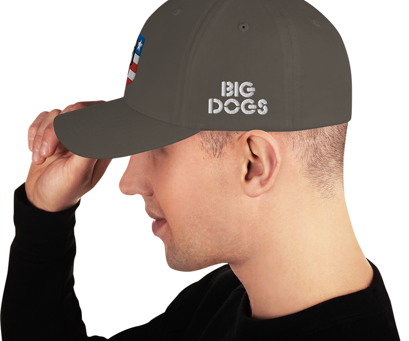 USA Structured Twill Cap