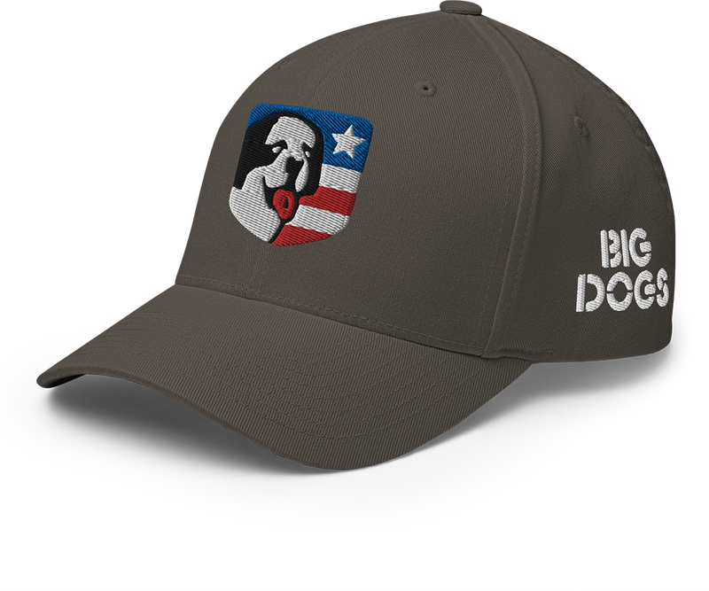USA Structured Twill Cap