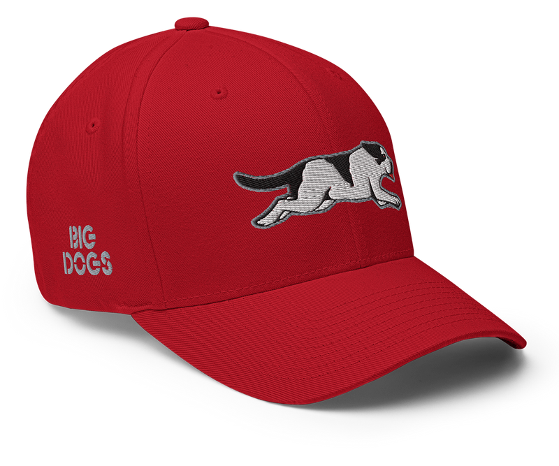 Running Dog Structured Twill Cap