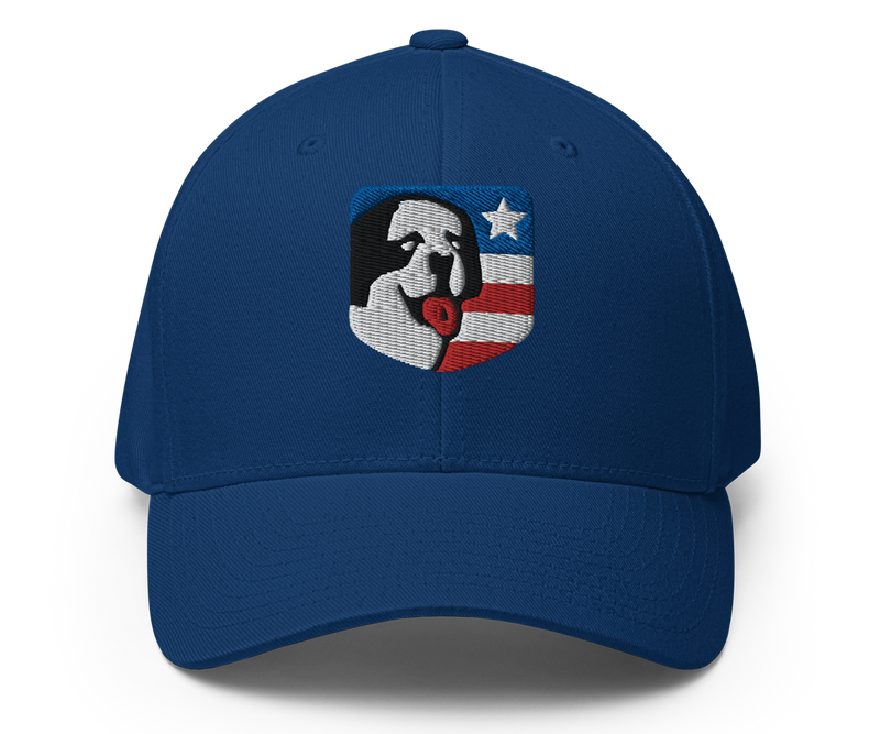 USA Structured Twill Cap