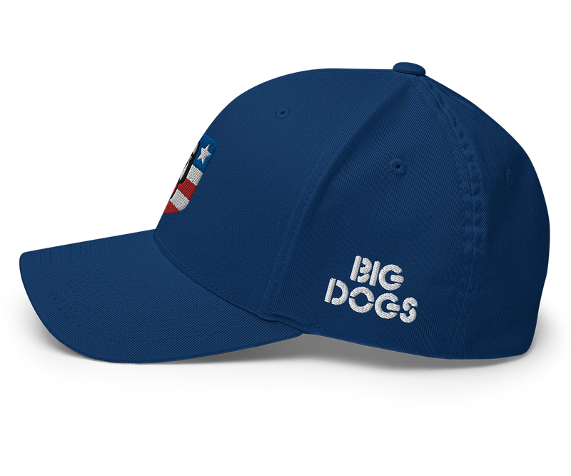 USA Structured Twill Cap