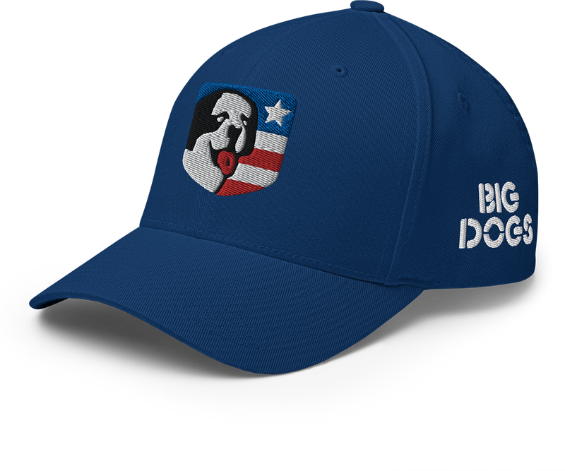 USA Structured Twill Cap