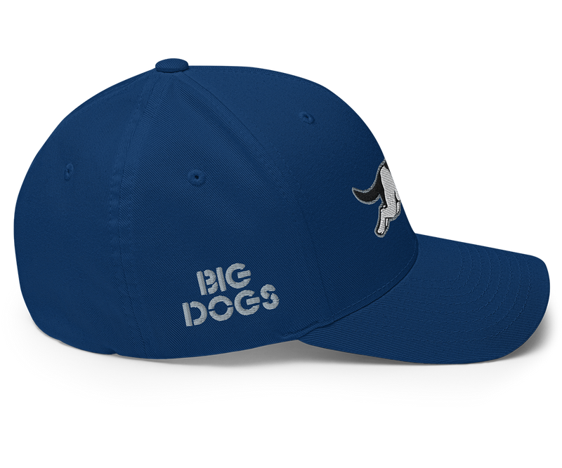 Running Dog Structured Twill Cap