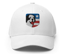 USA Structured Twill Cap