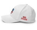 USA Structured Twill Cap