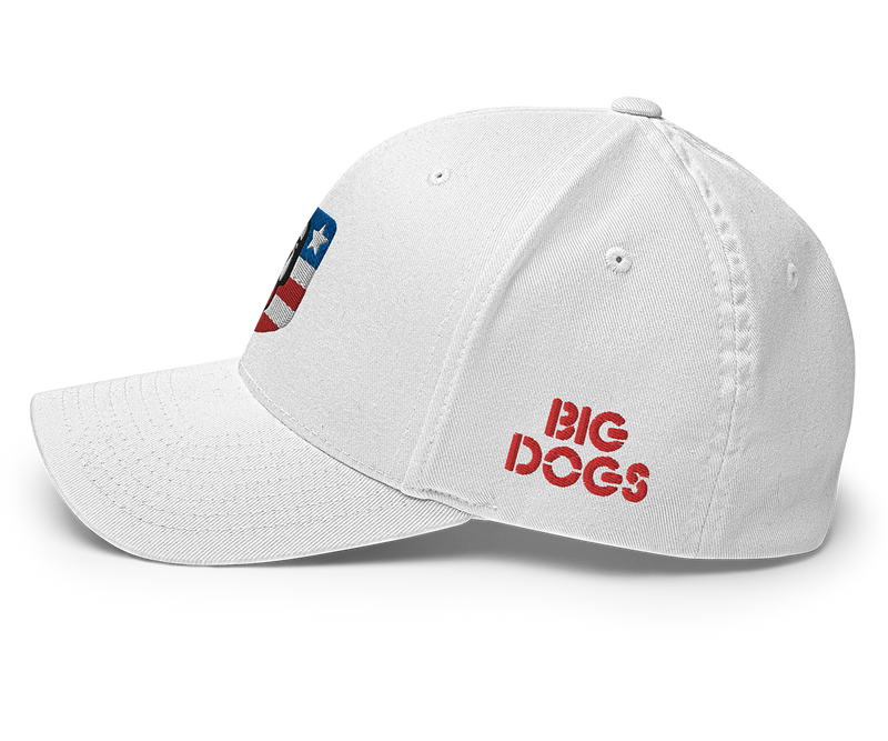 USA Structured Twill Cap