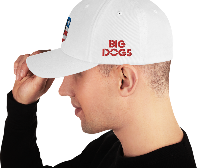 USA Structured Twill Cap