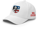 USA Structured Twill Cap