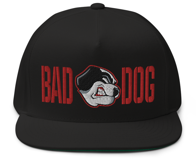 Flat bill hats for dogs shop