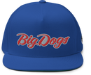 Script Flat Bill Cap