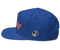 Script Flat Bill Cap