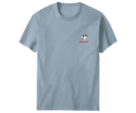 Smoky Mountain Bear T-Shirt