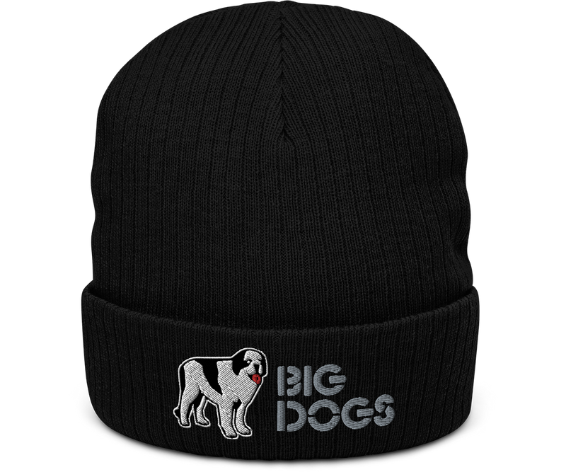 Logo Ribbed knit beanie