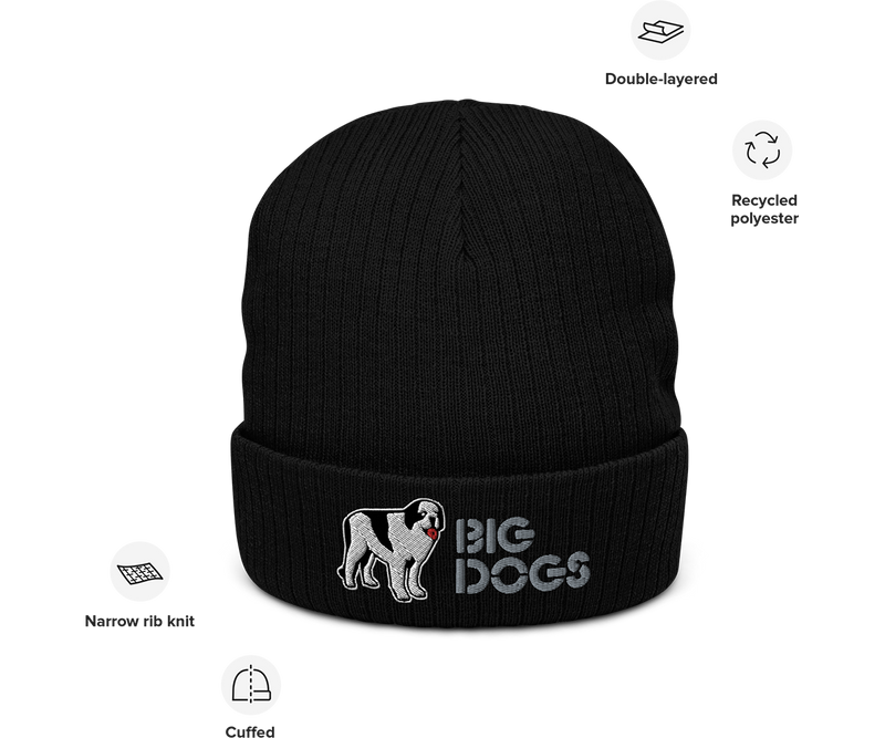 Logo Ribbed knit beanie
