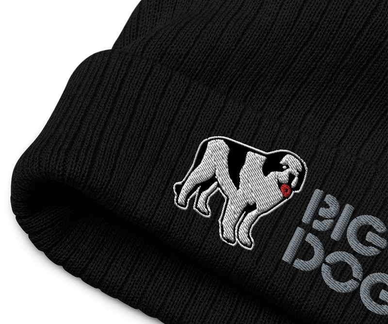 Logo Ribbed knit beanie