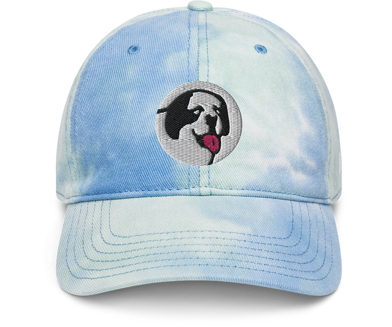 Circle Logo Tie dye Low Profile Cap
