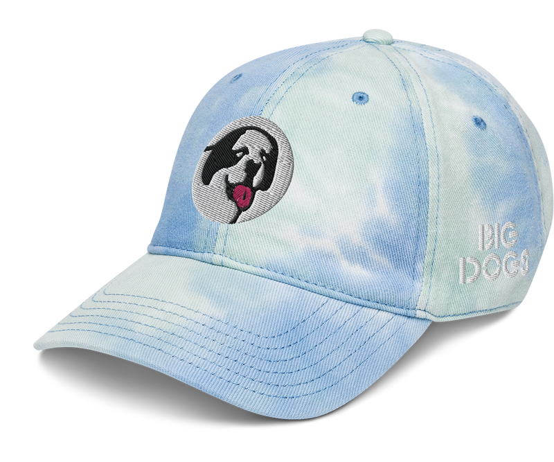 Circle Logo Tie dye Low Profile Cap