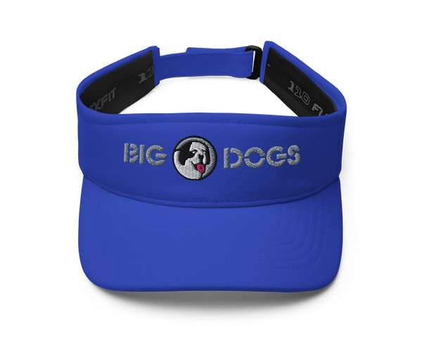 Wordmark Visor