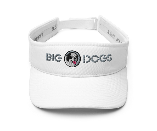 Wordmark Visor