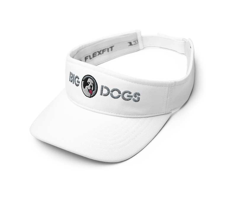 Wordmark Visor